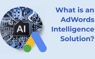 What is an AdWords Intelligence Solution?